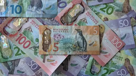 How much fees do accountants charge in New Zealand?